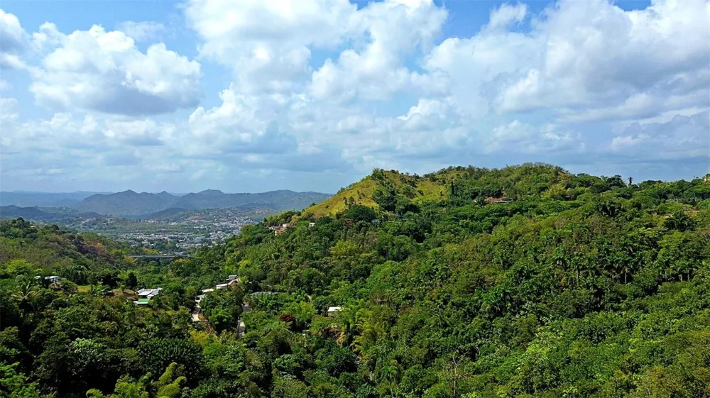 CARR 15 KM 21 Cayey, PR 00736