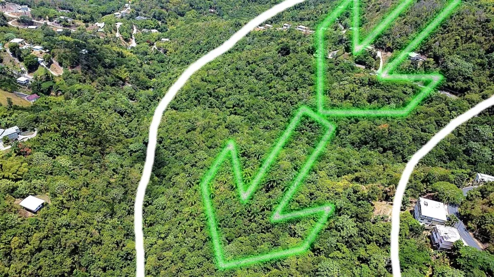 CARR 15 KM 21 Cayey, PR 00736