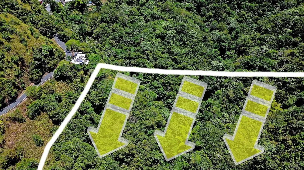 CARR 15 KM 21 Cayey, PR 00736