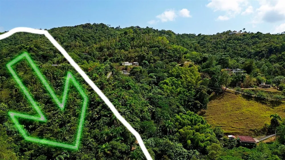 CARR 15 KM 21 Cayey, PR 00736