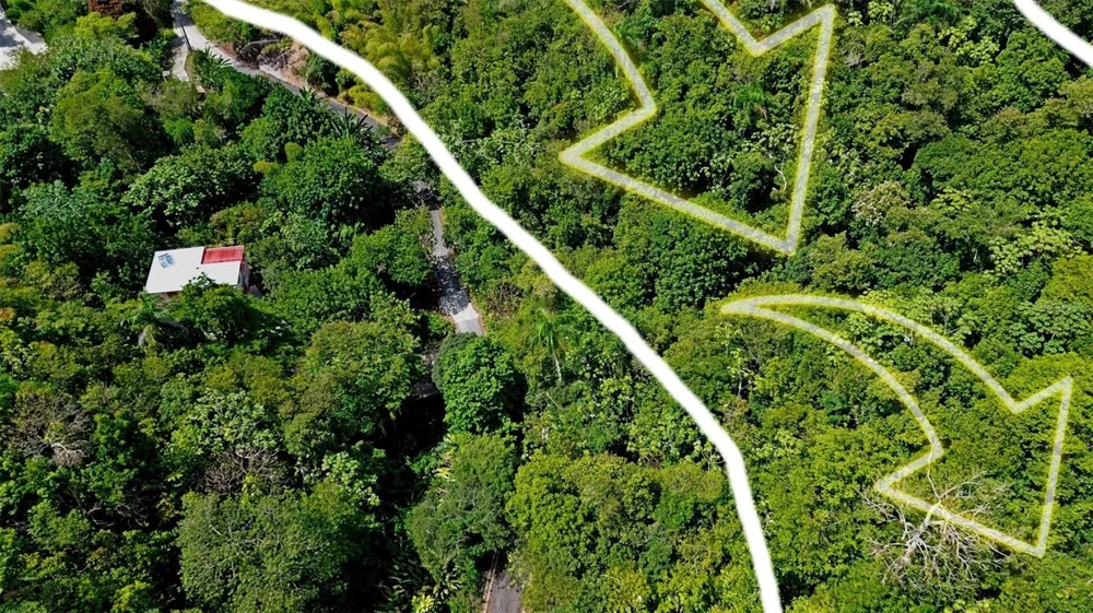 CARR 15 KM 21 Cayey, PR 00736