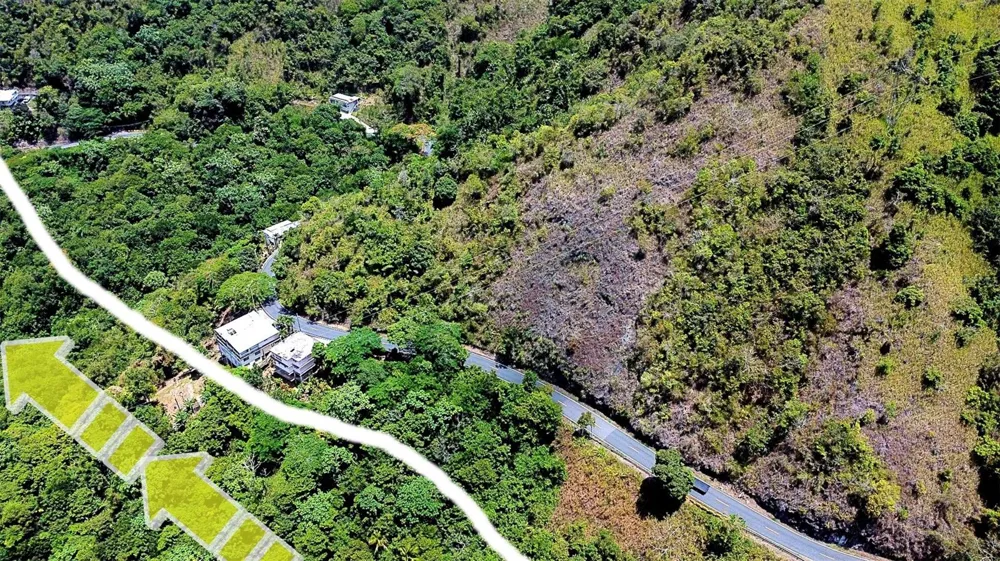 CARR 15 KM 21 Cayey, PR 00736