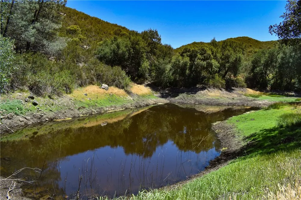 4169 Stagecoach Canyon Santa Margarita, CA 93453