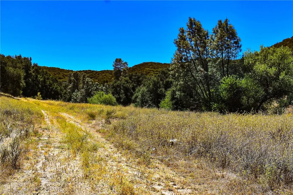 4169 Stagecoach Canyon Santa Margarita, CA 93453