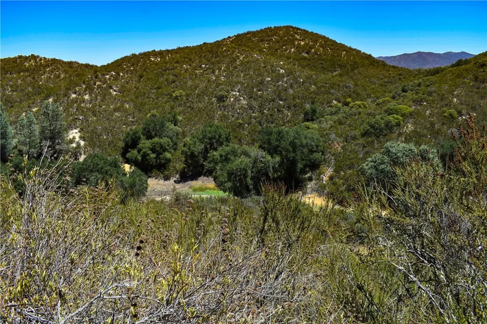 4169 Stagecoach Canyon Santa Margarita, CA 93453