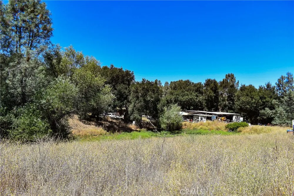 4169 Stagecoach Canyon Santa Margarita, CA 93453