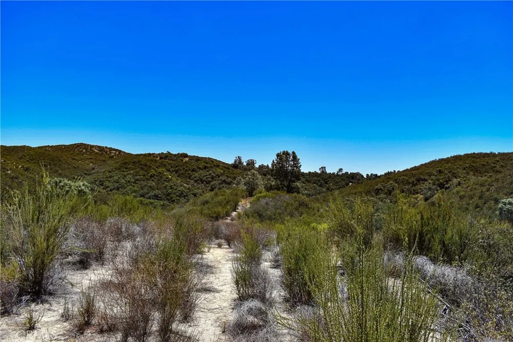 4169 Stagecoach Canyon Santa Margarita, CA 93453