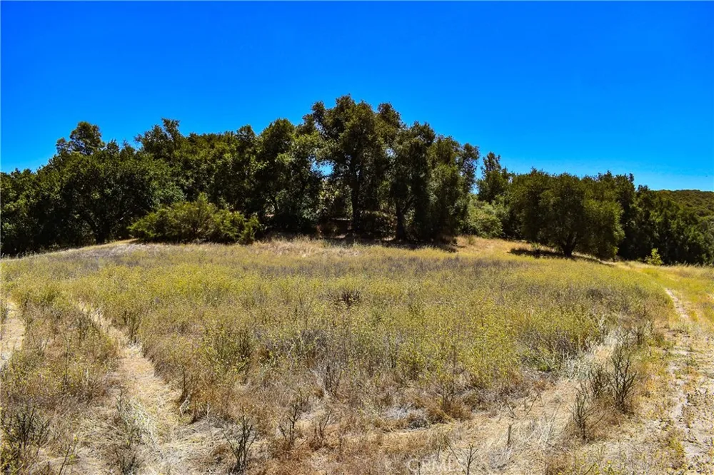 4169 Stagecoach Canyon Santa Margarita, CA 93453