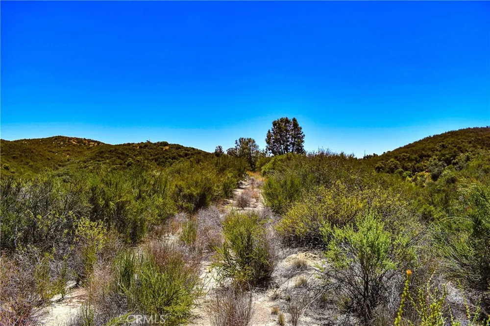 4169 Stagecoach Canyon Santa Margarita, CA 93453