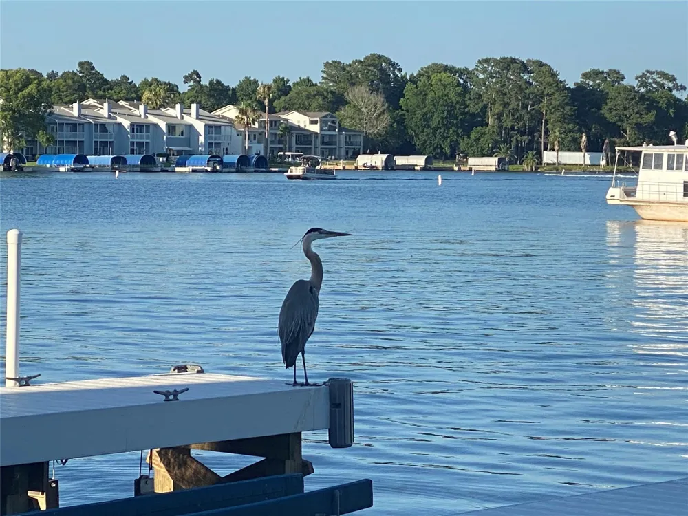 168 Lake Point Boulevard #D204 Conroe, TX 77356