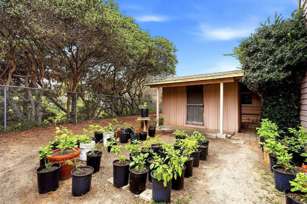 293 Via Del Cerrito Encinitas, CA 92024