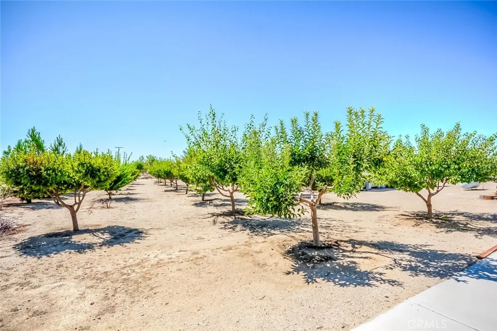 13830 Paramount Phelan, CA 92371