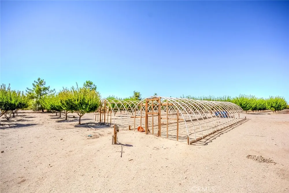13830 Paramount Phelan, CA 92371