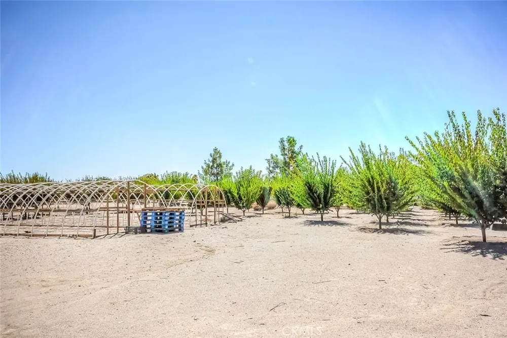 13830 Paramount Phelan, CA 92371