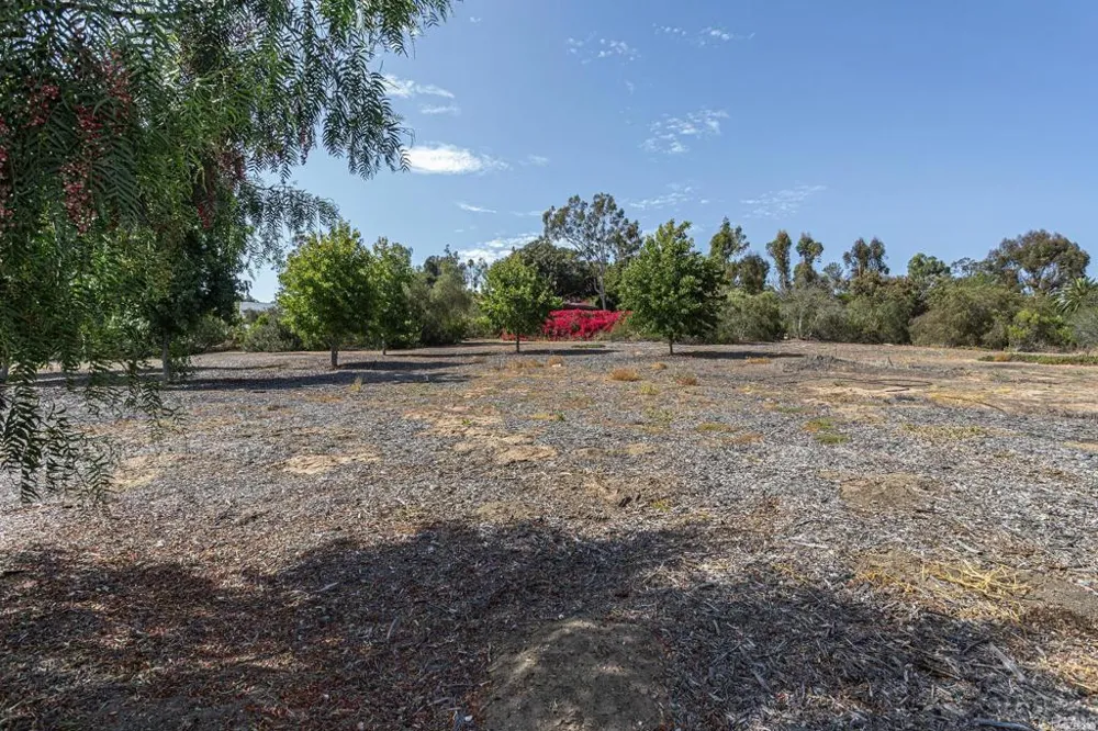 6678 Las Colinas Rancho Santa Fe, CA 92067