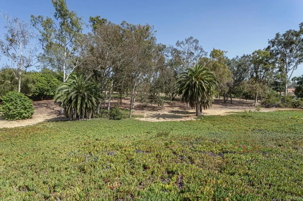 6678 Las Colinas Rancho Santa Fe, CA 92067