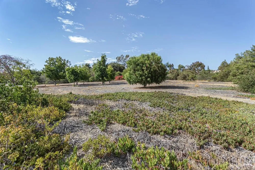 6678 Las Colinas Rancho Santa Fe, CA 92067