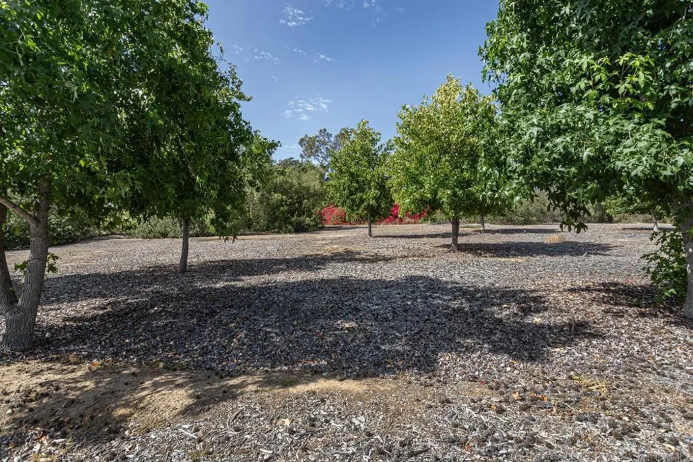 6678 Las Colinas Rancho Santa Fe, CA 92067
