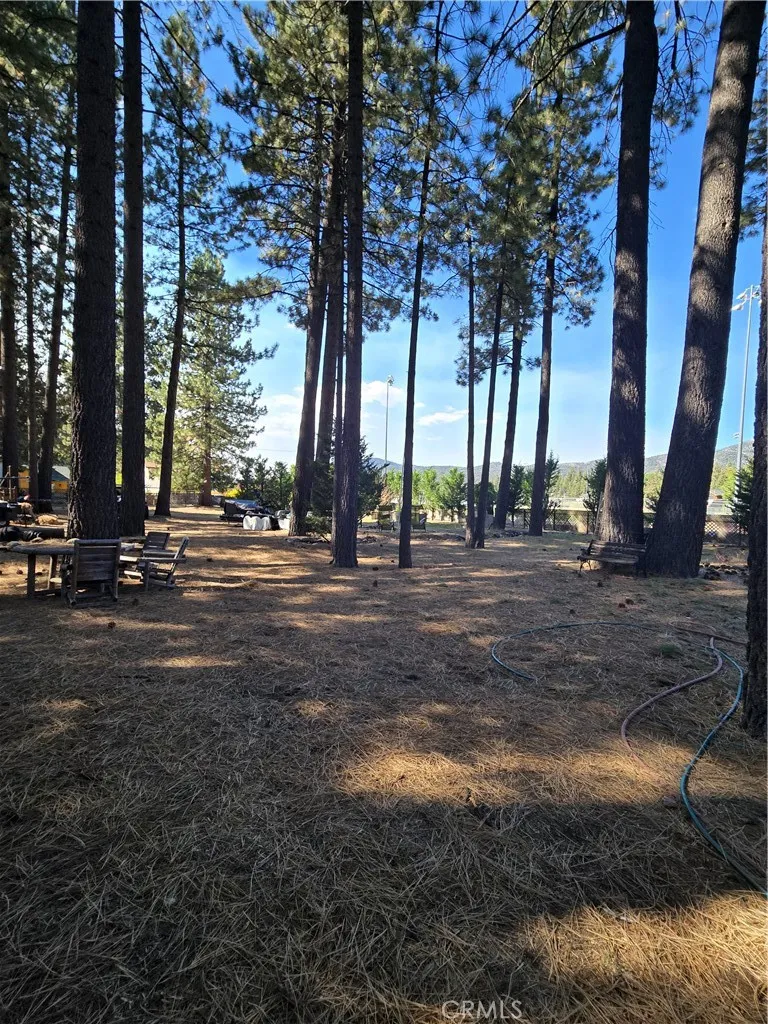 341 Jeffries Big Bear Lake, CA 92315