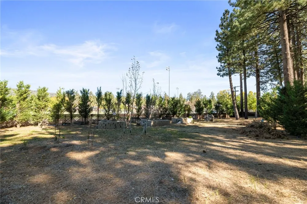 341 Jeffries Big Bear Lake, CA 92315