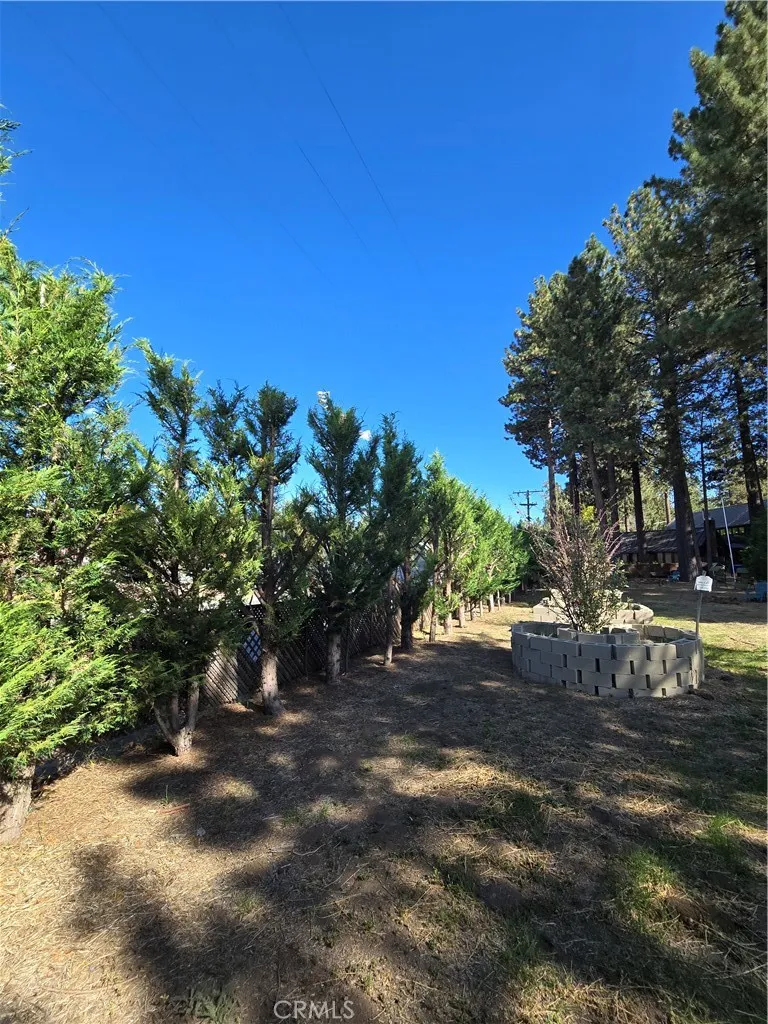 341 Jeffries Big Bear Lake, CA 92315