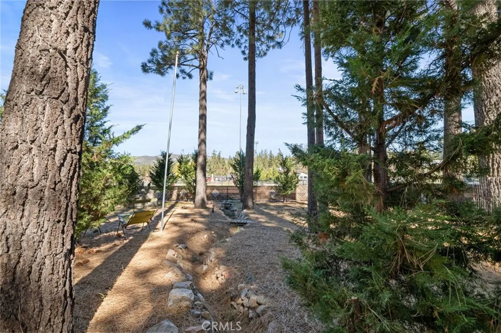 341 Jeffries Big Bear Lake, CA 92315