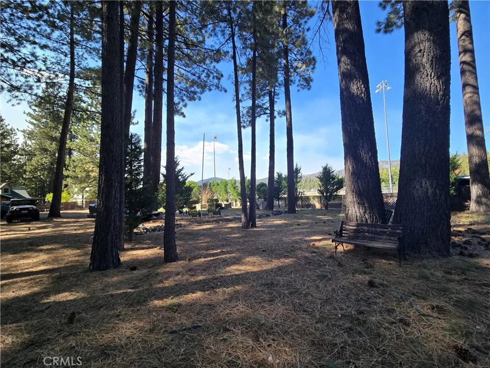 341 Jeffries Big Bear Lake, CA 92315