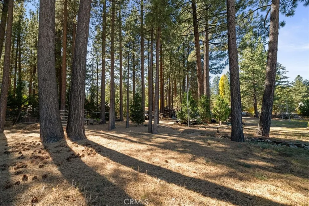341 Jeffries Big Bear Lake, CA 92315