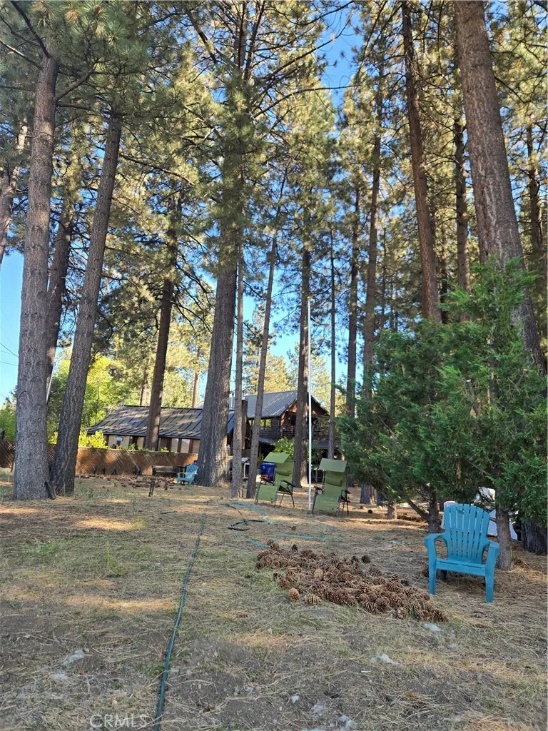 341 Jeffries Big Bear Lake, CA 92315