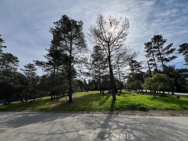 1500 Richard Cambria, CA 93428