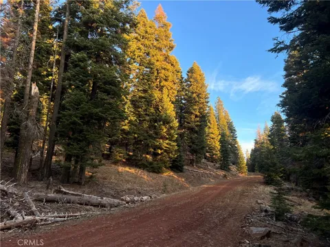 S. Ozite Road