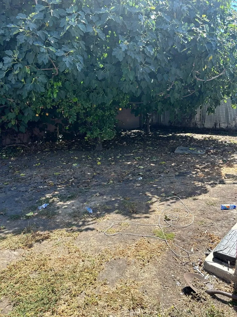 164 W 85th Place Los Angeles, CA 90003