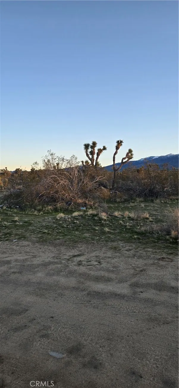 253 Vac/Vic Littlerock, CA 93591