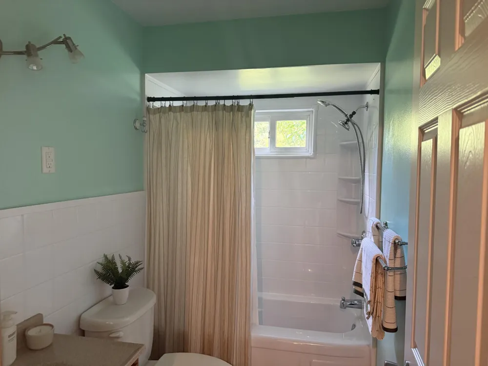 1122 W Green Street Hastings City, MI 49058