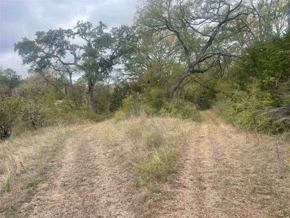 2151 Onion Creek Bend Driftwood, TX 78619