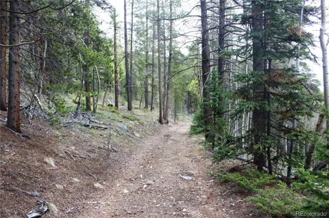 01 Broomfeild Gulch Road