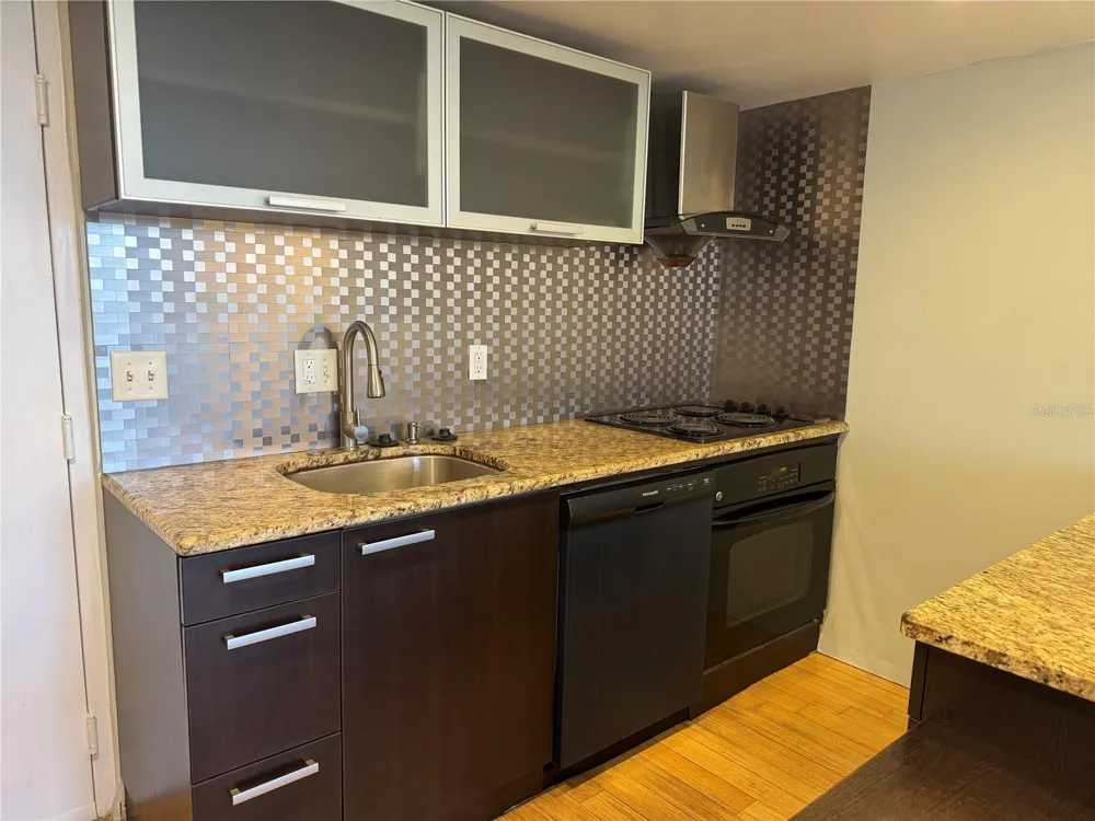 701 S MADISON AVENUE #312 Clearwater, FL 33756