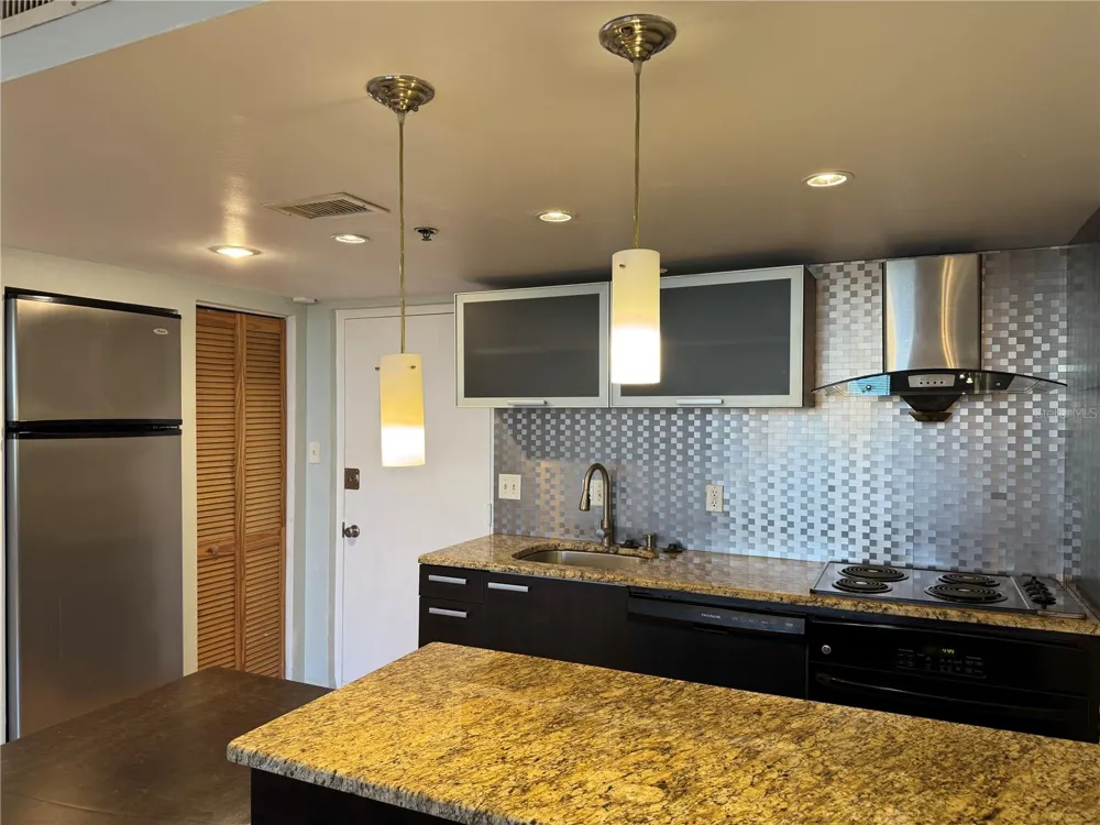 701 S MADISON AVENUE #312 Clearwater, FL 33756