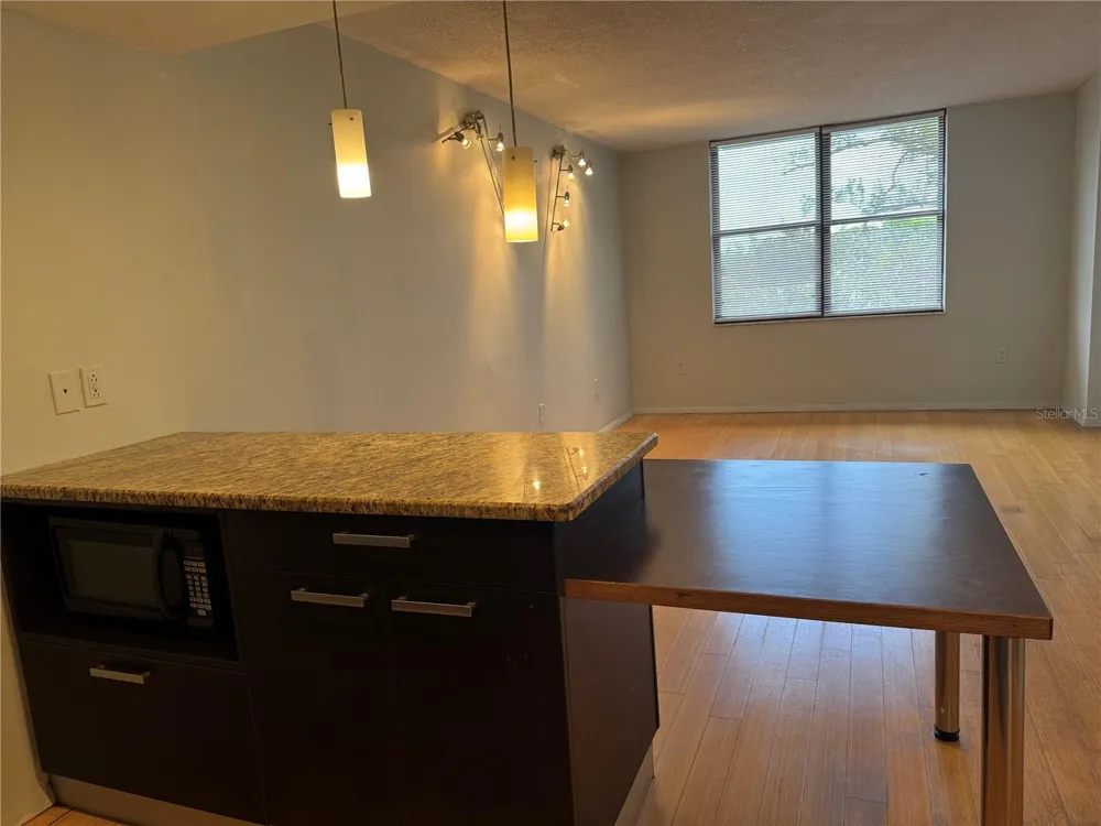 701 S MADISON AVENUE #312 Clearwater, FL 33756