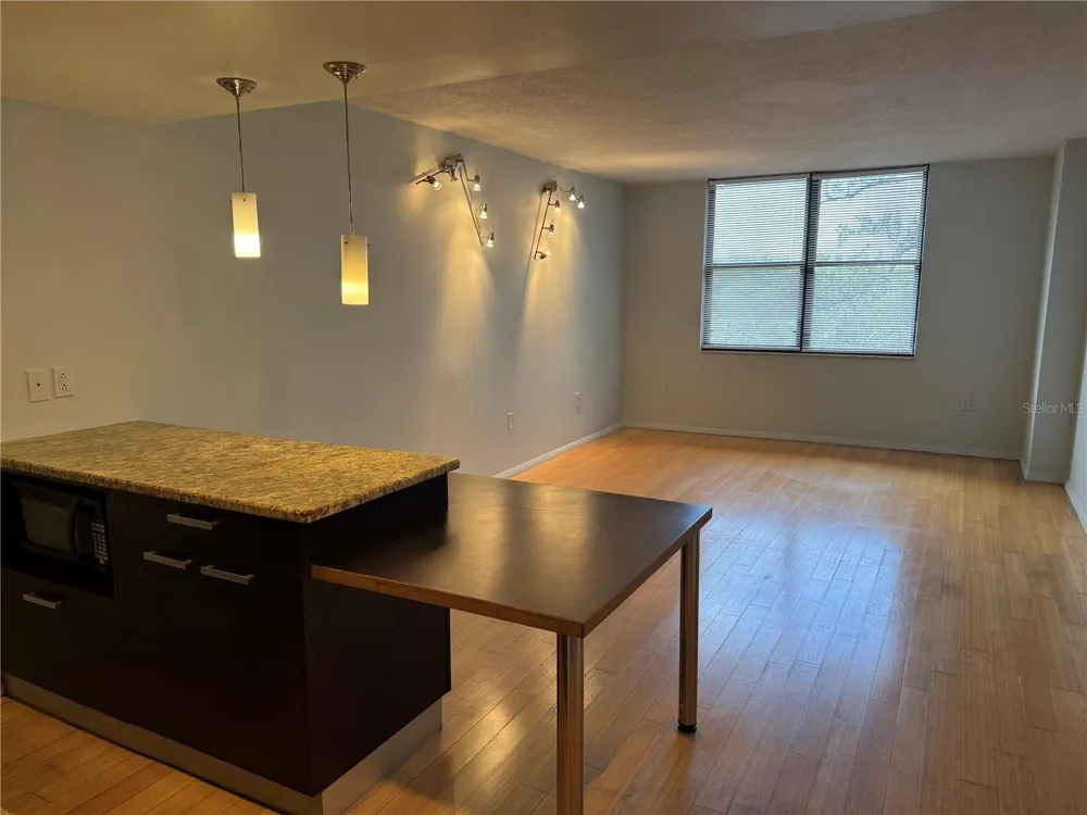 701 S MADISON AVENUE #312 Clearwater, FL 33756