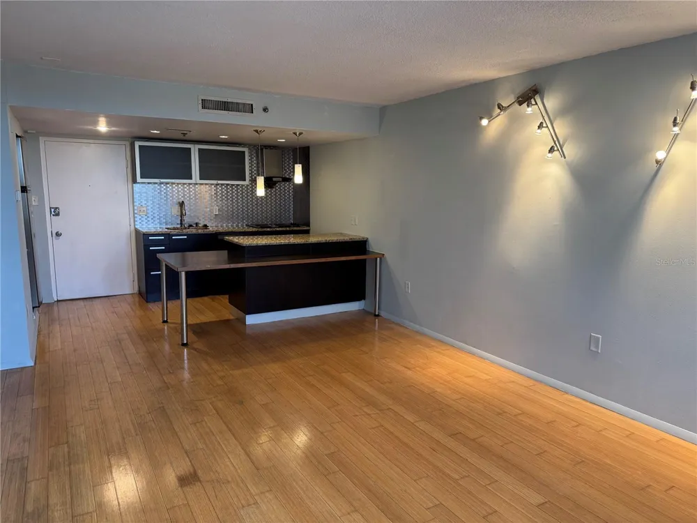 701 S MADISON AVENUE #312 Clearwater, FL 33756