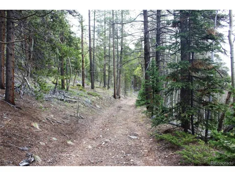 1 Broomfeild Gulch Road