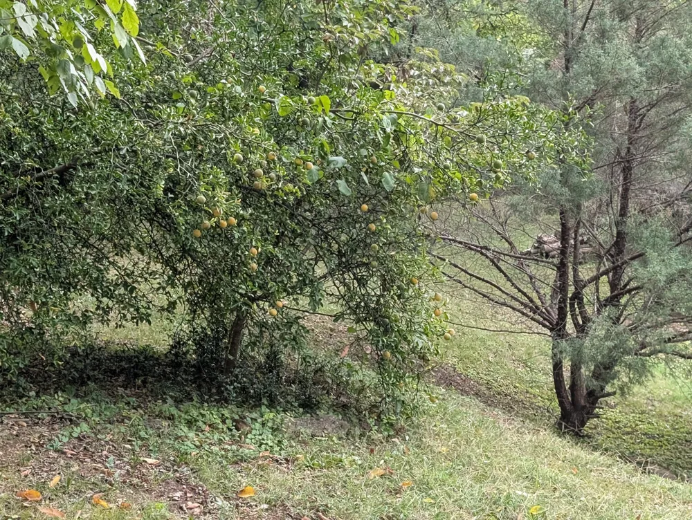 1551 Springfield Hwy Goodlettsville, TN 37072