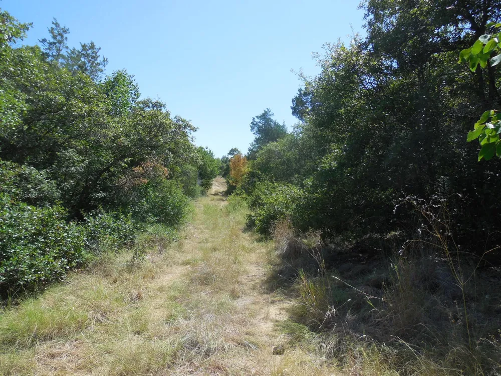 East Loop 254 Ranger, TX 76470