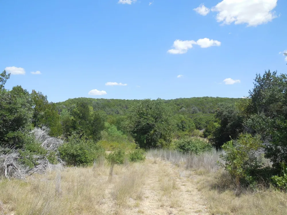 East Loop 254 Ranger, TX 76470