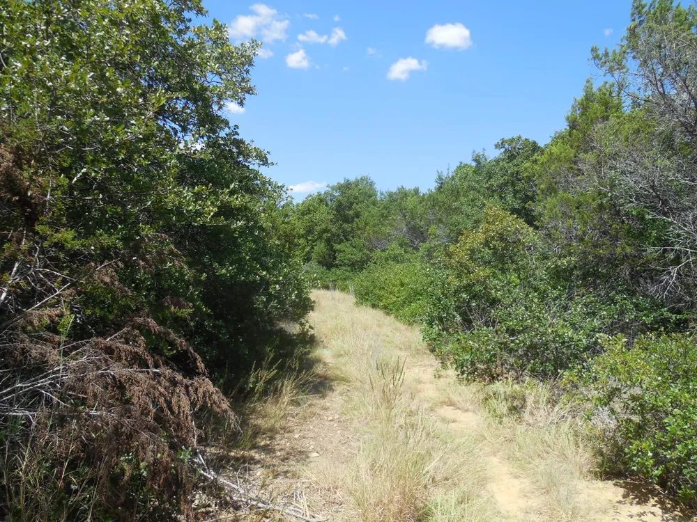 East Loop 254 Ranger, TX 76470