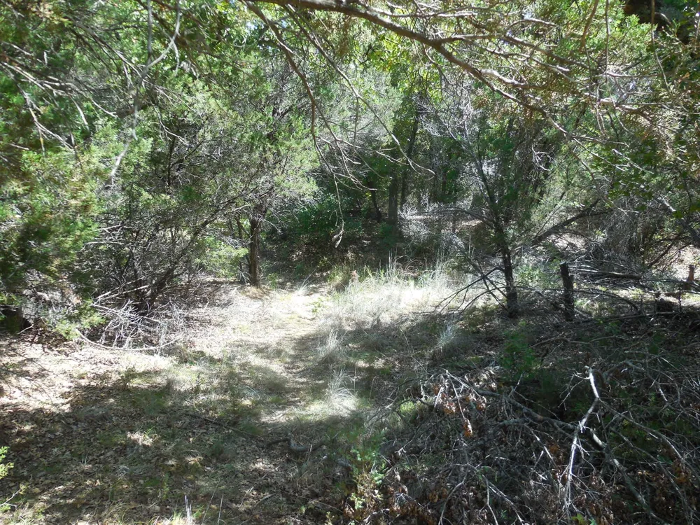 East Loop 254 Ranger, TX 76470