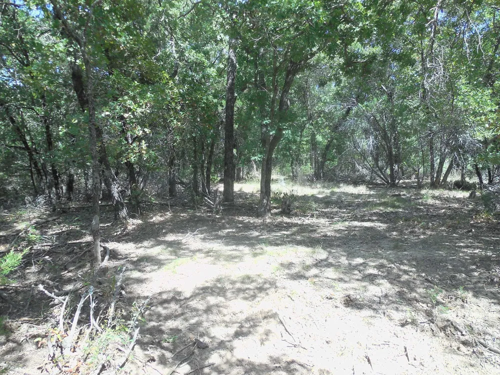 East Loop 254 Ranger, TX 76470
