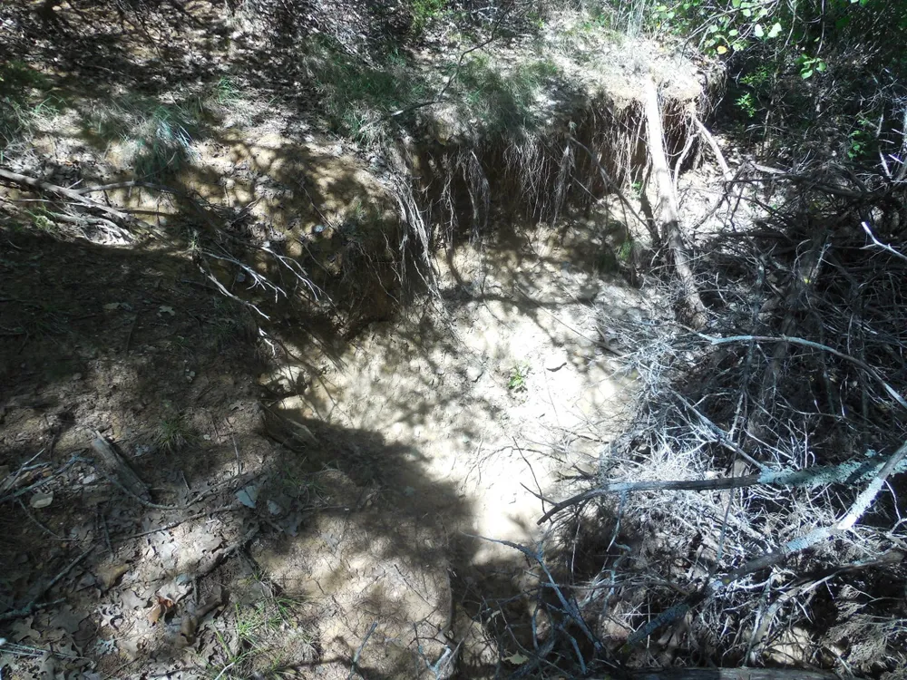 East Loop 254 Ranger, TX 76470