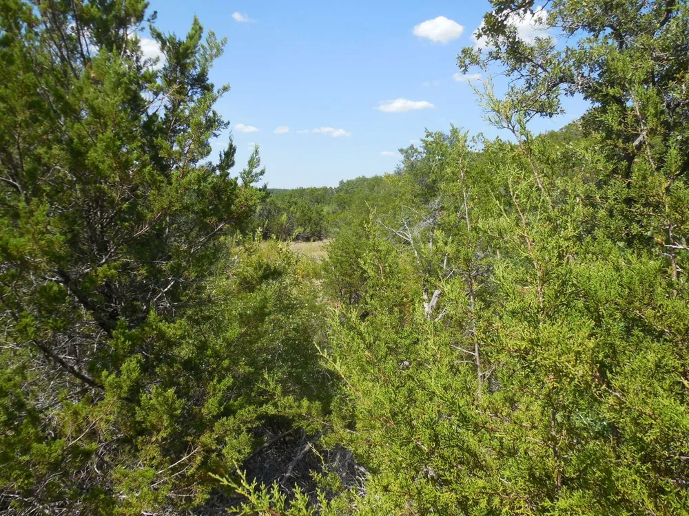 East Loop 254 Ranger, TX 76470